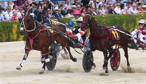 hrnz race results|IRT NZ Cup day .